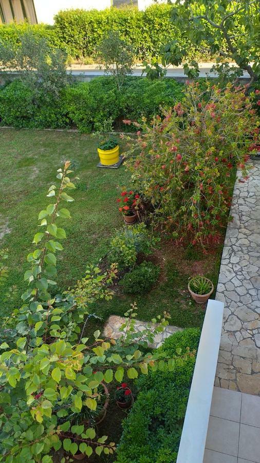 Apartment Manda Zadar Buitenkant foto