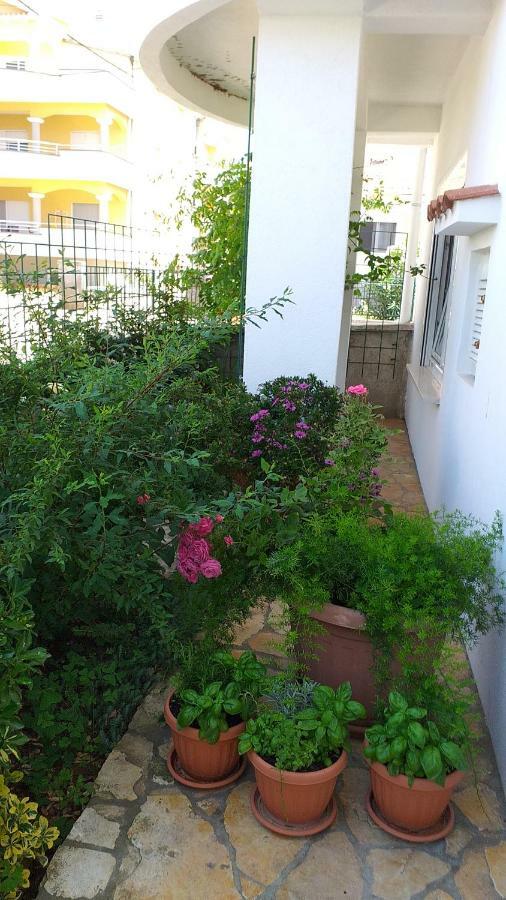 Apartment Manda Zadar Buitenkant foto